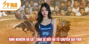 Kinh nghiệm đá gà